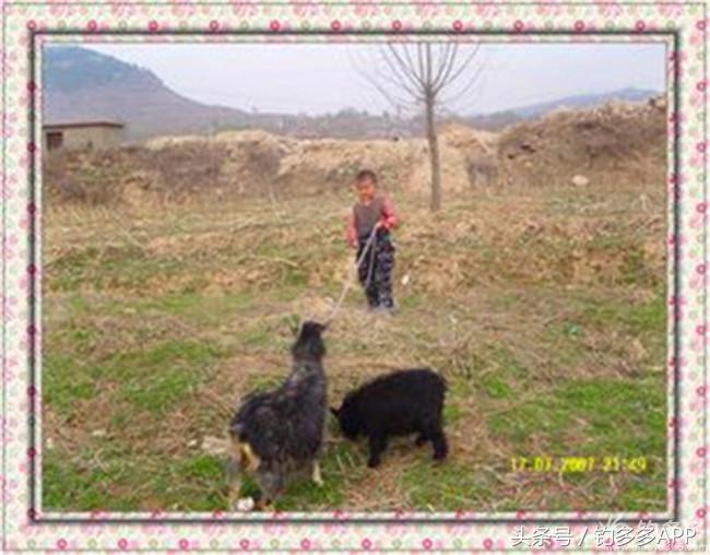 钓叟张演义第二回钓具DIY：擒黄颡首战告捷，失白翘再钓铩羽