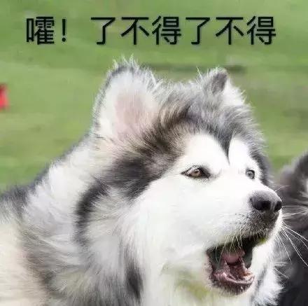 德芙士力架雪糕好用吗,德芙士力架巧克力测评