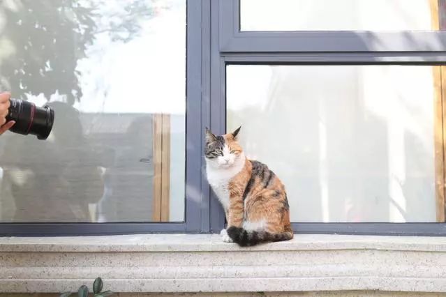 静坐,坐静什么意思