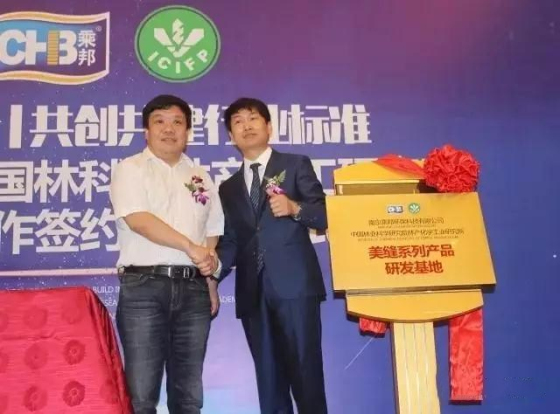 美缝知识咨询,贵的美缝和便宜的美缝有什么区别