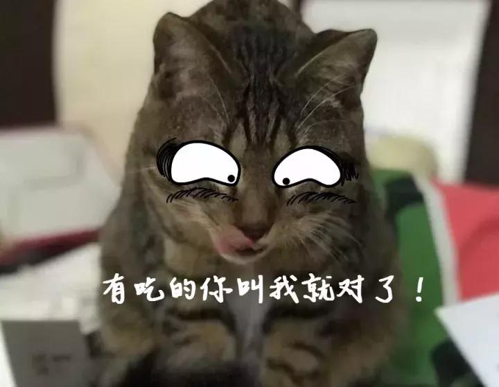 德芙士力架雪糕好用吗,德芙士力架巧克力测评