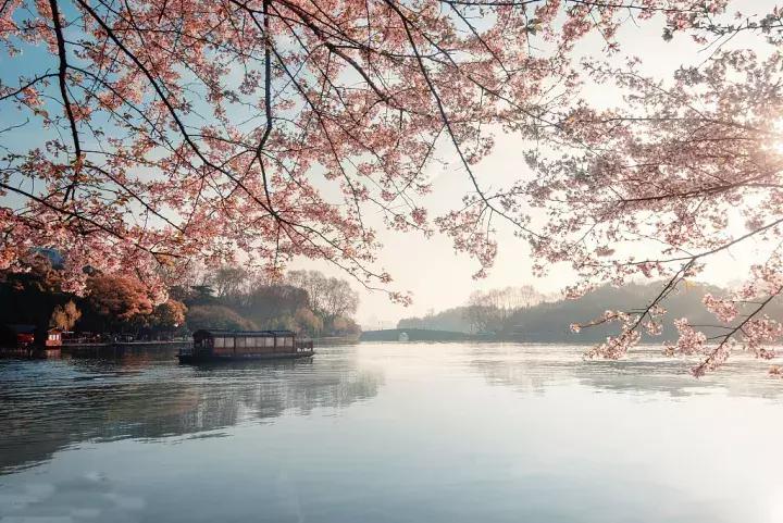 借得一把西湖伞，莫负江南雨一蓑