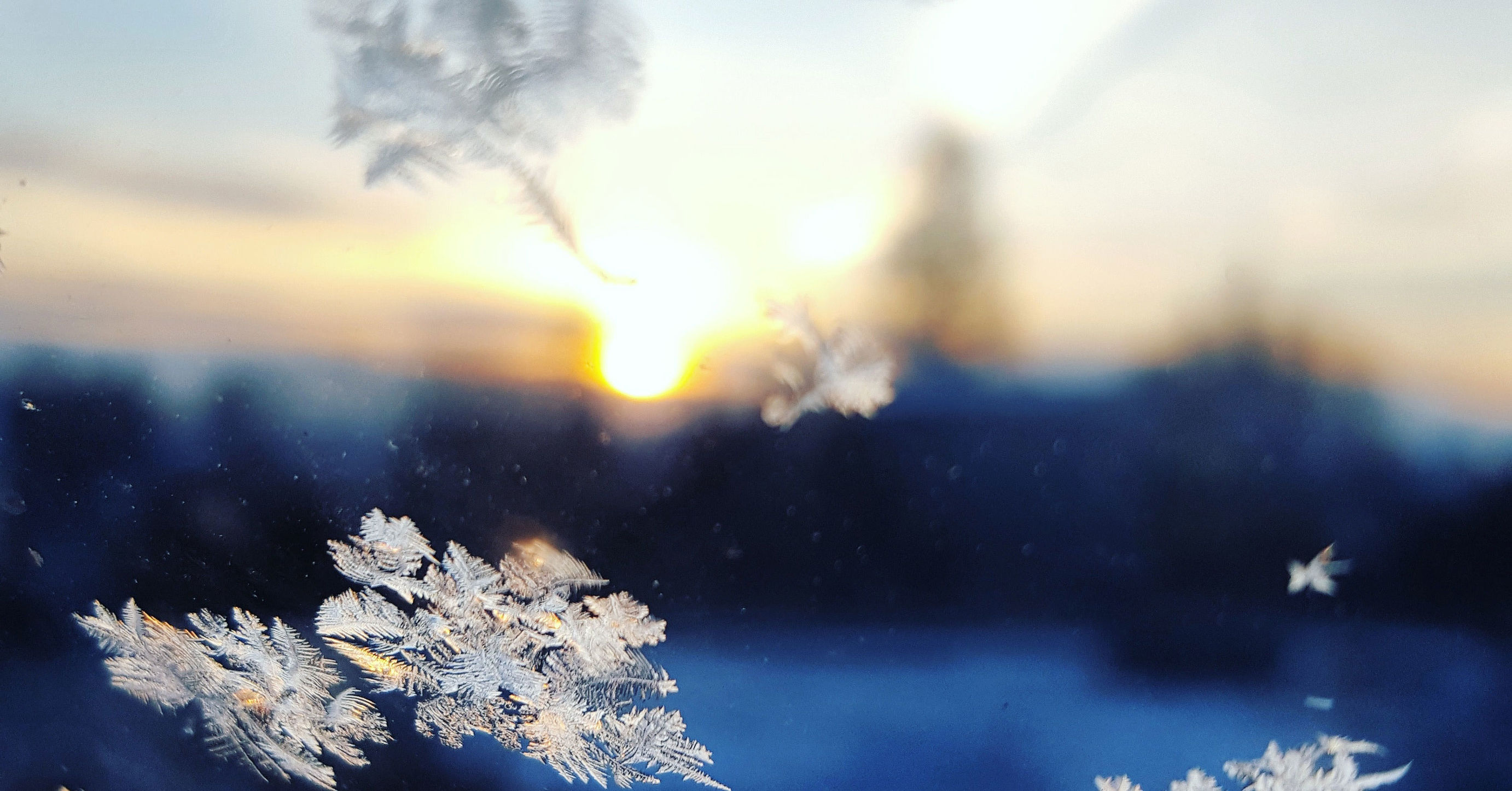 未婚妻看中一套房子，去看房时发现房主是我失踪多年的初恋