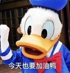 一边作死一边养生叫什么,一边养生一边作死应该怎么说