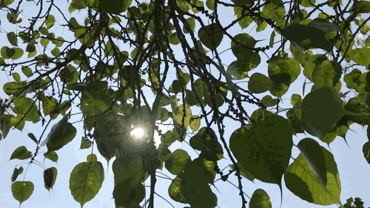 角度|宝安这些地方，能让你一秒爱上跑步！