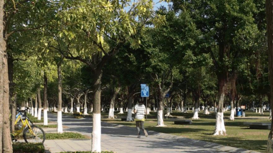 角度|宝安这些地方，能让你一秒爱上跑步！