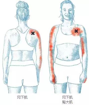 这些放松方法，可以让你舒舒服服渡过“肌肉关”