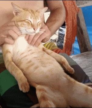 这些放松方法，可以让你舒舒服服渡过“肌肉关”