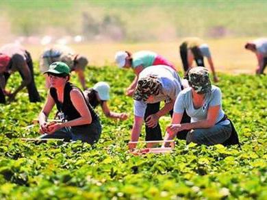 自己创业干什么能年入百万,年入百万创业实操案例