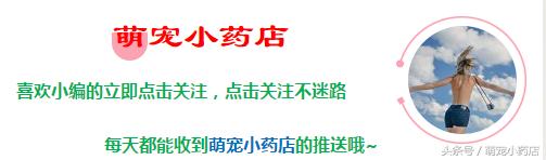 贵宾老咬人，老爱跑床上，怎么整改？给你支招！
