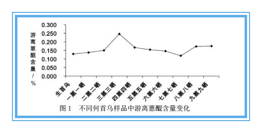 野生何首乌比普通首乌有什么好处,野生九制何首乌价格行情