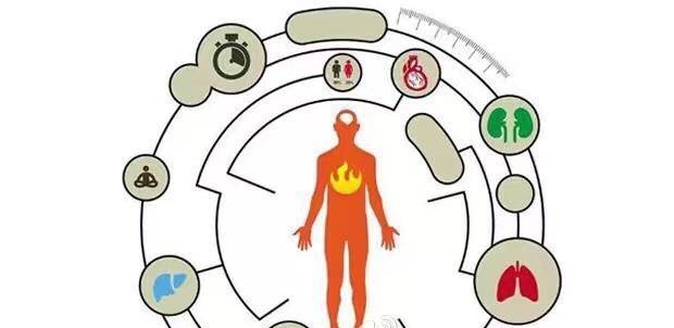 维生素,左右你情绪的“妙药”