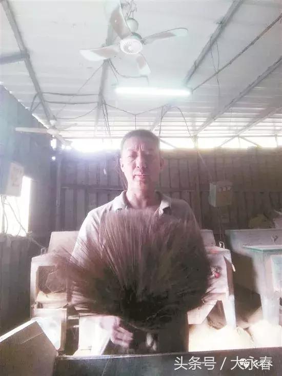 永春达埔镇手工制香,永春制香厂300年历史