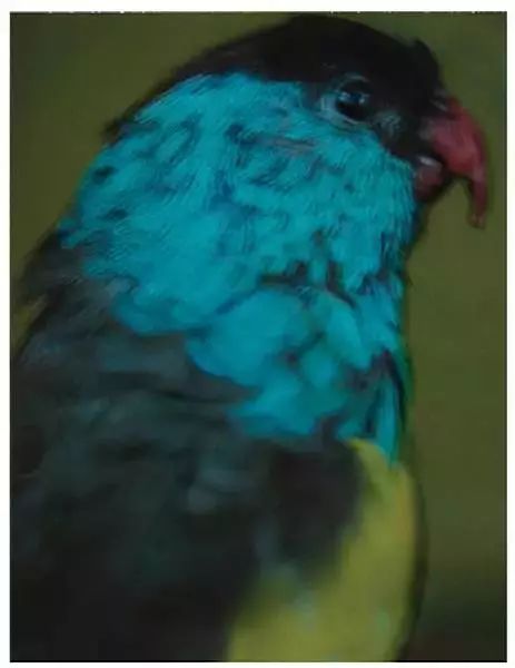 拍糊了的照片怎么调清晰,照片拍糊了