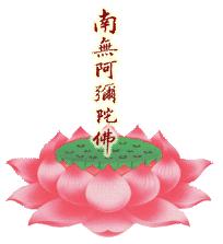 不开车！不修仙！泡着枸杞追求佛系生活