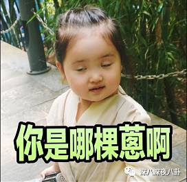 谢娜如今怎么样了,从娜儿到娜娜的变化