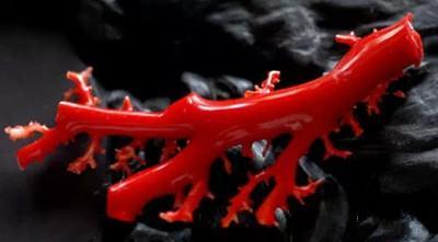 天然红珊瑚串辨别,红珊瑚圆珠珠链怎么辨别真伪