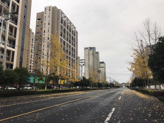 黄山到婺源租车,黄山租车到杭州