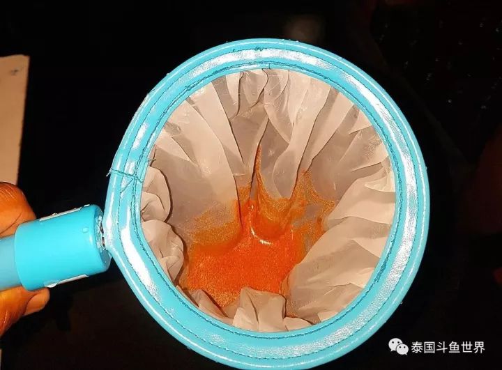 泰国斗鱼两日游攻略,泰国顶级斗鱼渔场两日游