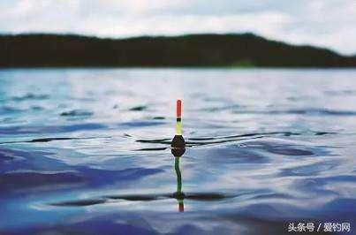 河里钓鱼调漂的正确方法与技巧,黑坑钓鱼调漂的正确方法与技巧