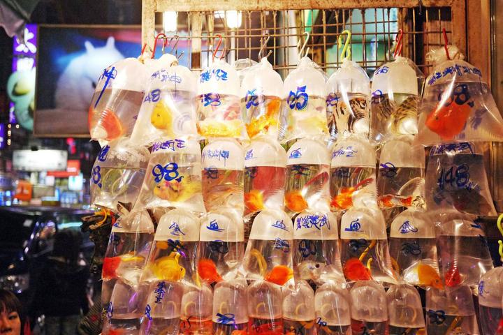 怎么玩透原神,如何玩九龙魂