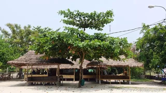 雅加达值得去的地方,被称为椰城的城市