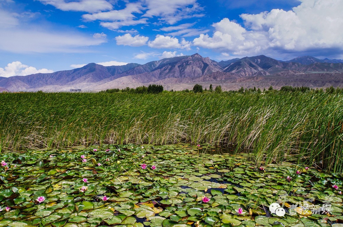 guide女声版,guide女团出道了吗