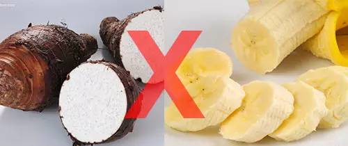 香蕉健康养生,健康科普香蕉对大脑功效