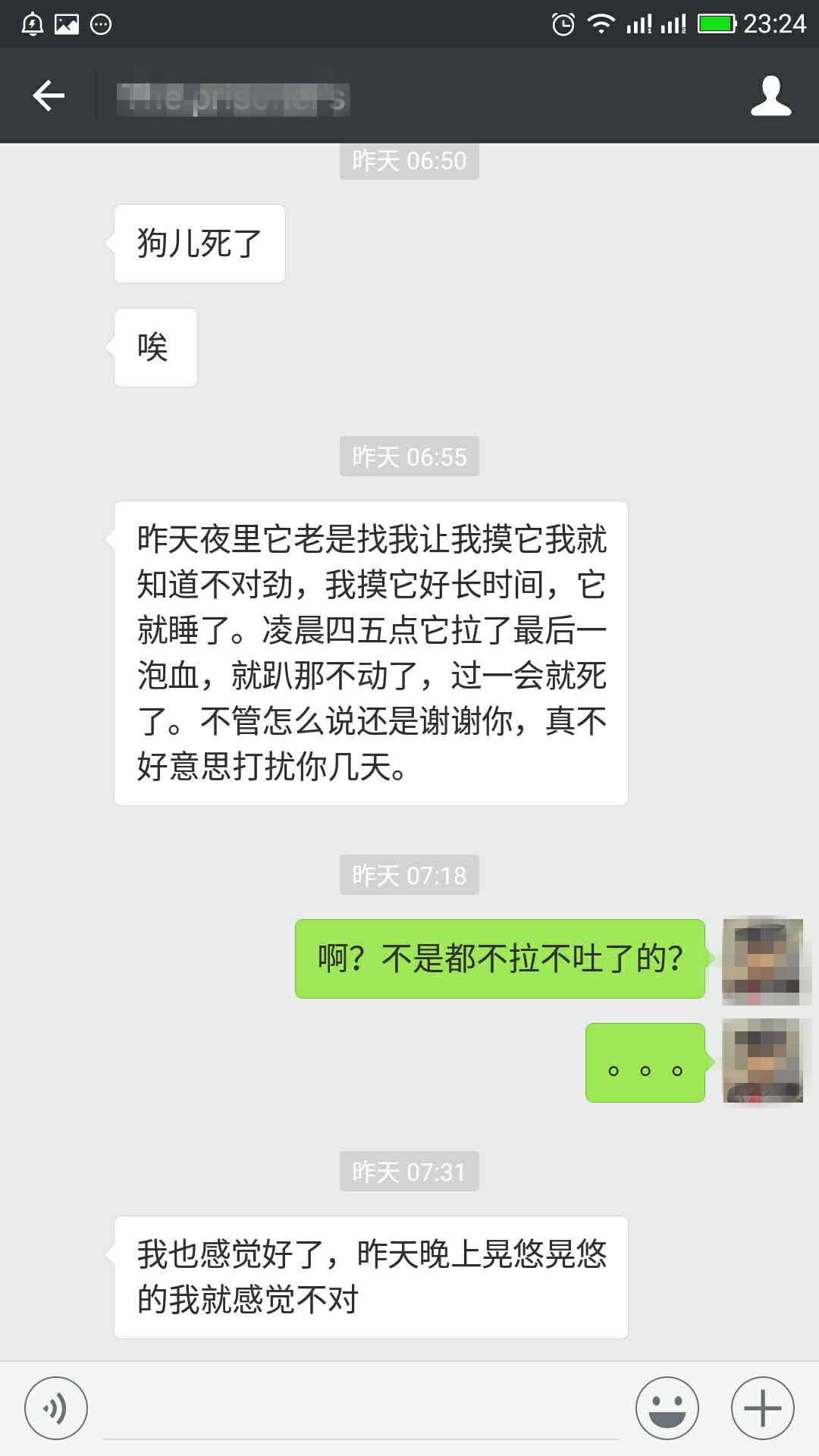 狗狗得了细小和冠状怎么治疗,利巴韦林可以治疗狗狗细小吗