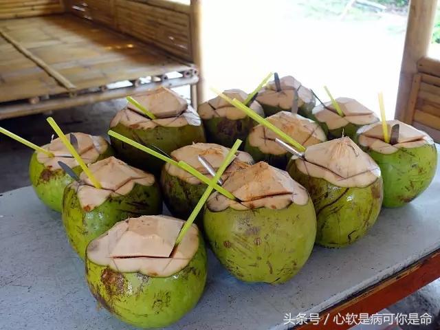 雅加达值得去的地方,被称为椰城的城市