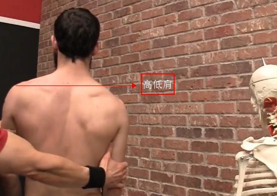 如何按让肩胛骨更凸出,肩胛骨突出怎么矫正一周见效