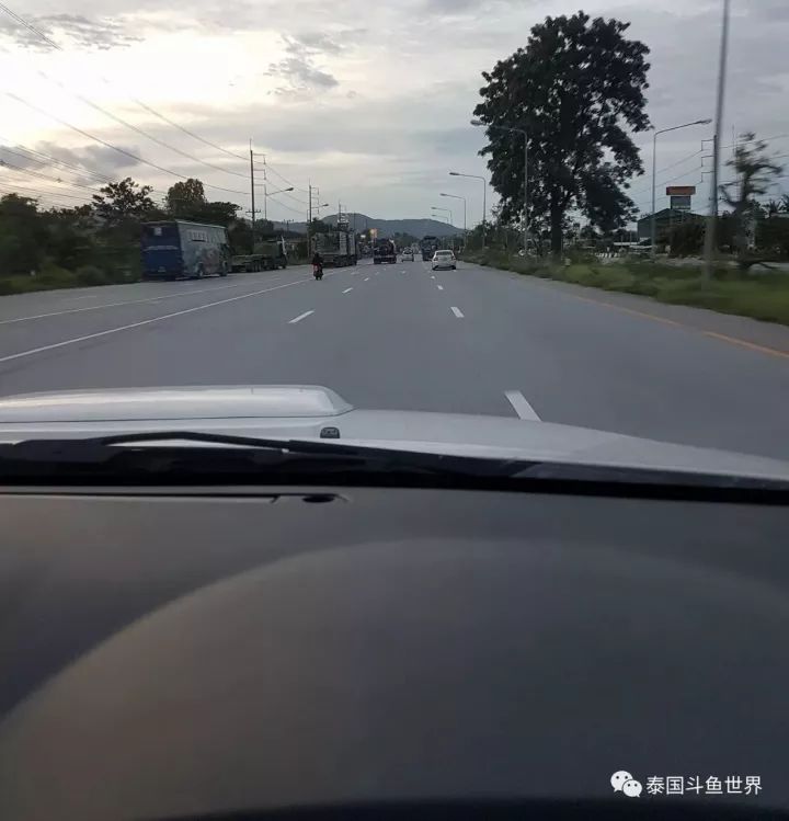 泰国斗鱼两日游攻略,泰国顶级斗鱼渔场两日游