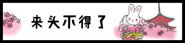 天津人为一只抹茶小兔几甘愿排大队！只为感受那恋爱般的甜度！