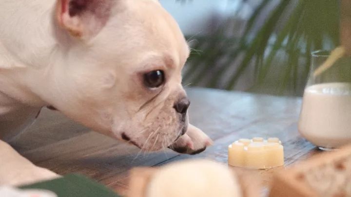 平价又超奶香的羊奶皂,正宗澳洲羊奶皂