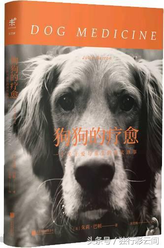 这只金毛治愈了她的抑郁症