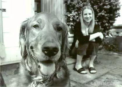 这只金毛治愈了她的抑郁症
