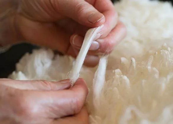 十大顶级高端羊绒衫,最值得买的羊绒衫品牌