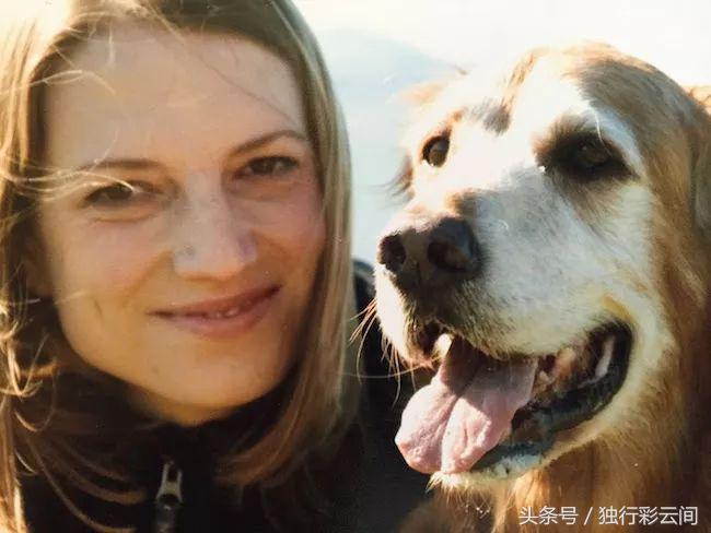 这只金毛治愈了她的抑郁症