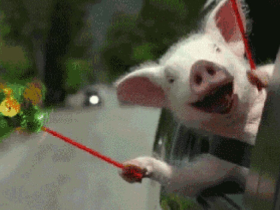 孕期玩手机有防辐射的方法吗,孕期玩手机胎儿笨吗