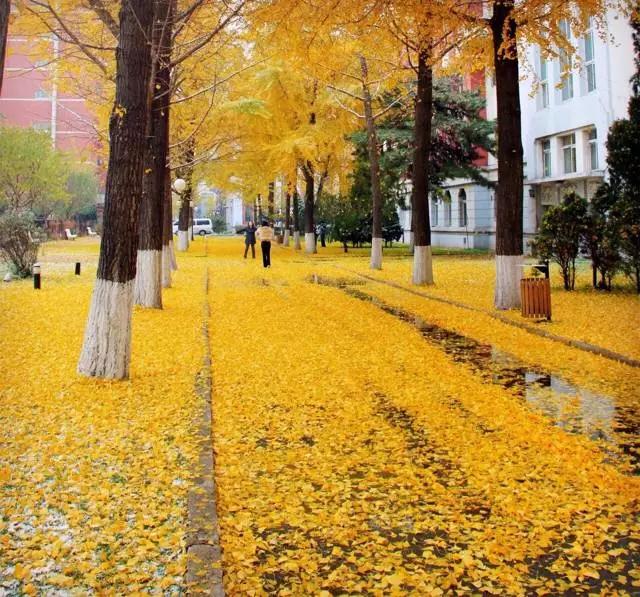 在茫茫人海一眼认出你,在茫茫人海中一眼认出你视频