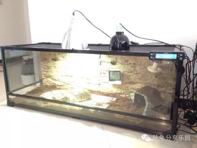 东莞养龟设备,养龟的一套设备大约多少钱