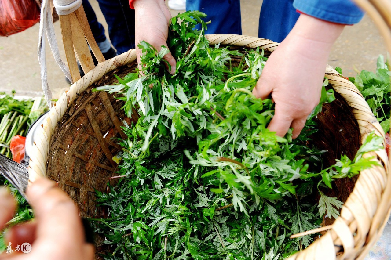 食用艾草可清热解毒，那孕妇可以吃吗