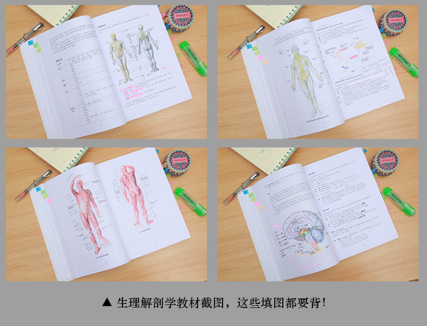 ifa国际芳疗师考试资料,ifa国际芳疗师认证培训机构