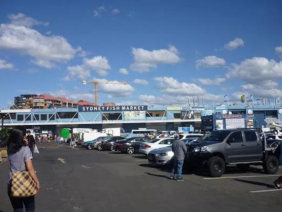 悉尼鱼市场最新消息,澳洲悉尼华人鱼市场