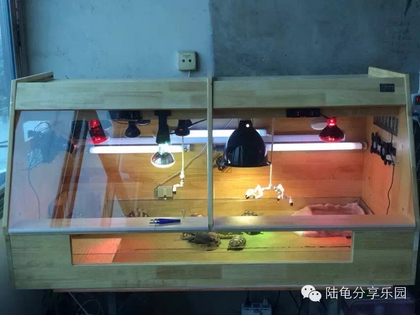 东莞养龟设备,养龟的一套设备大约多少钱
