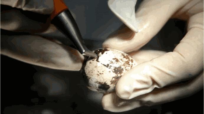 洗牙有什么副作用吗,洗牙怎么不伤牙