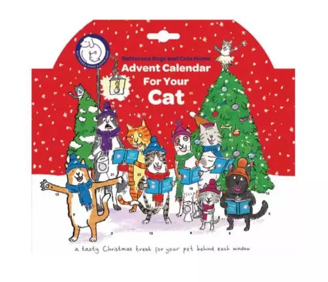 倒数日记录猫咪,倒数日历猫咪