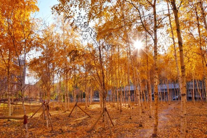 兰理工哈理工｜跨越2800公里，你好！我的东北老铁哈尔滨理工大学