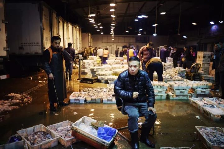 上海吃海鲜必去的地方推荐,距离上海2小时内车程的景点