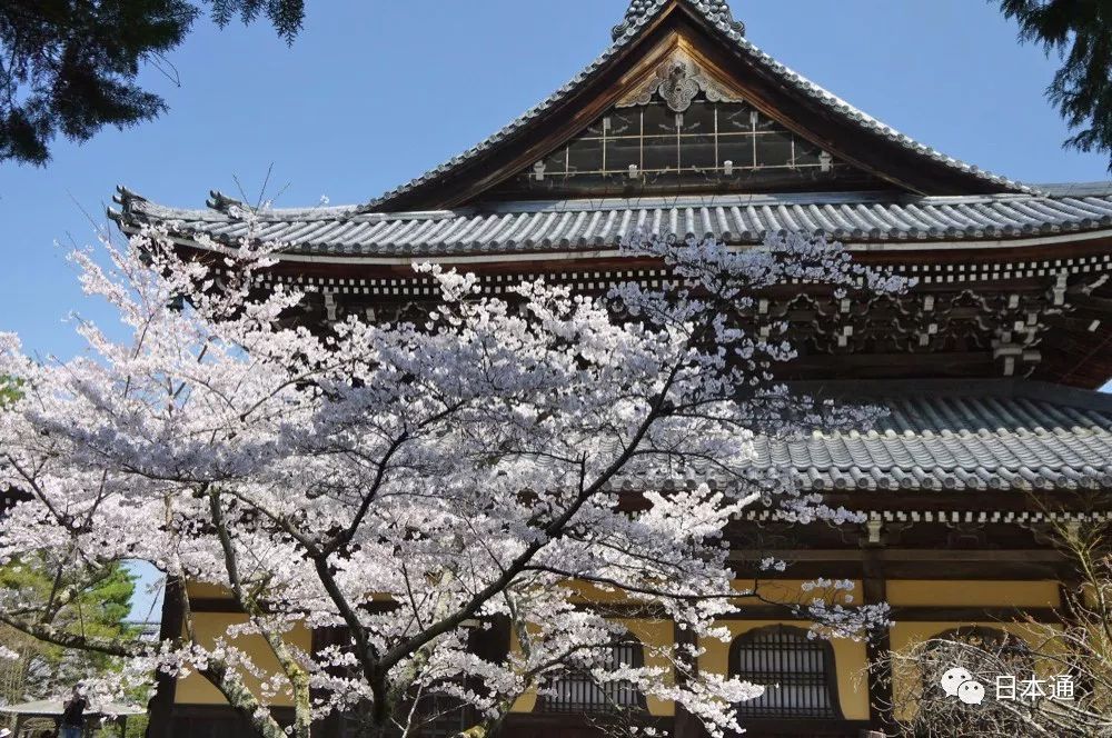 <html>
<head><title>502BadGateway</title></head>
<body>
<center><h1>502BadGateway</h1></center>
<hr><center>nginx</center>
</body>
</html>
<!--apaddingtodisableMSIEandChromefriendlyerrorpage-->
<!--apaddingtodisableMSIEandChromefriendlyerrorpage-->
<!--apaddingtodisableMSIEandChromefriendlyerrorpage-->
<!--apaddingtodisableMSIEandChromefriendlyerrorpage-->
<!--apaddingtodisableMSIEandChromefriendlyerrorpage-->
<!--apaddingtodisableMSIEandChromefriendlyerrorpage-->
